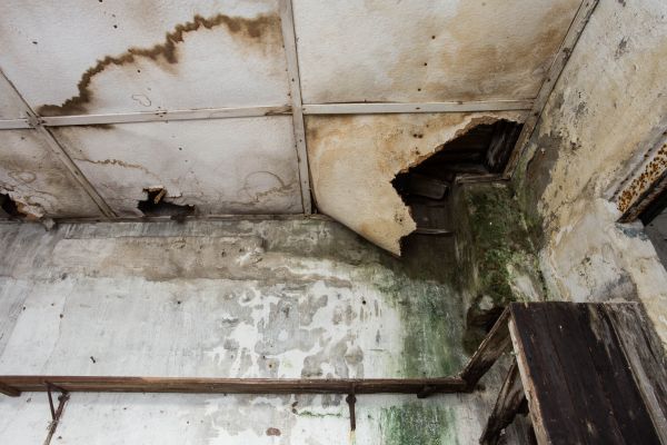 Water Damage Service in Santa Monica