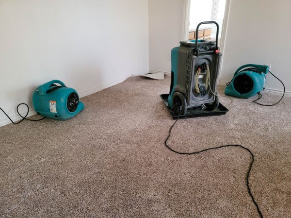 Flood Damage Repair in Santa Monica