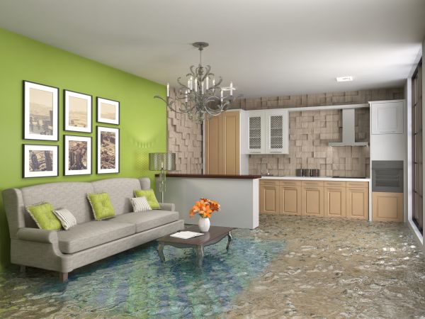 Cost of Wet Carpet Drying in Santa Monica