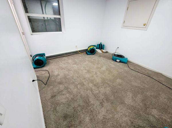 Flood Restoration Service in Santa Monica