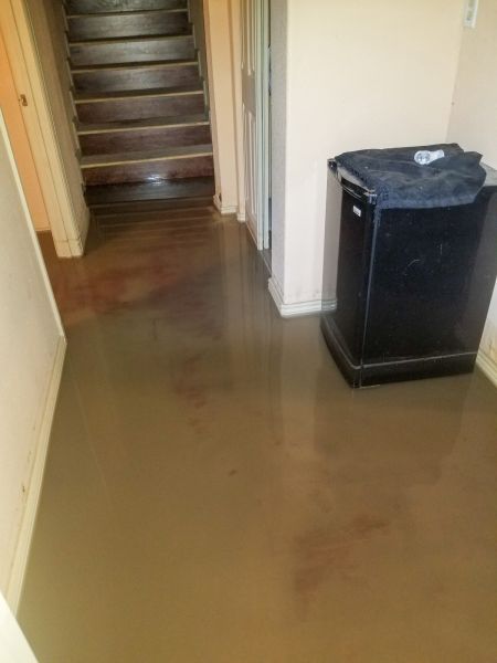 Cost of Emergency Water Removal in Santa Monica