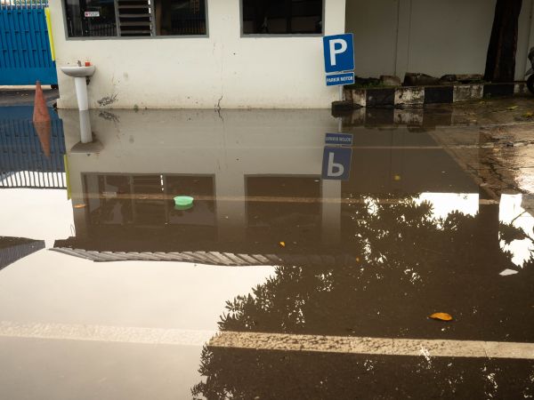 Storm Damage Repair in Santa Monica