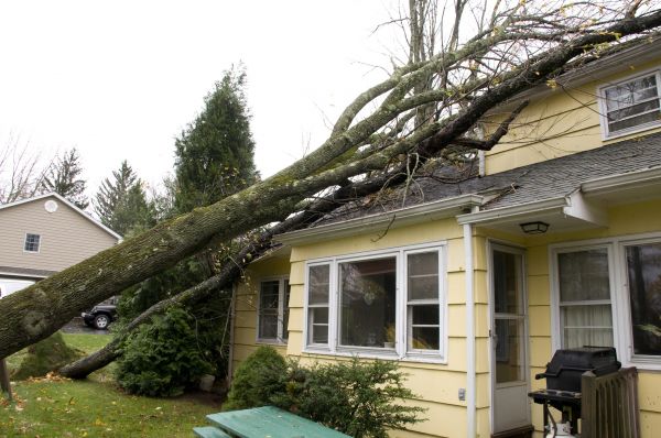 Hurricane Damage Repair in Santa Monica